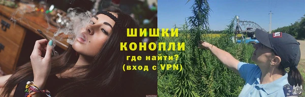 тгк Бронницы