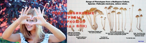 метадон Бородино