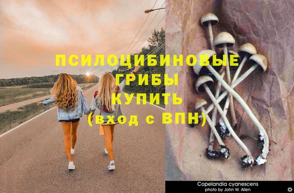метадон Бородино