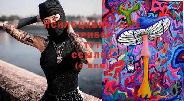 тгк Бронницы