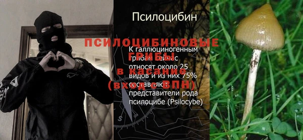метадон Бородино