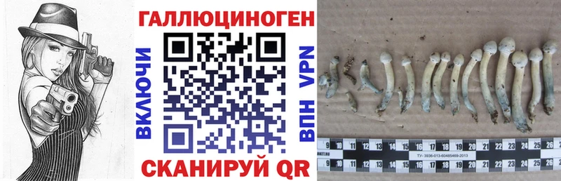 Псилоцибиновые грибы GOLDEN TEACHER  где можно купить   Якутск 